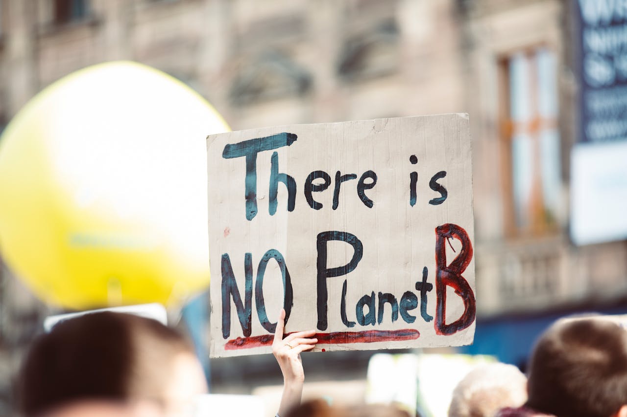 services-03 Protest sign at climate change rally reading 'There is no Planet B'.