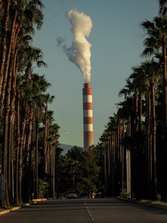 services-04 A smoke stack emits steam in an industrial area with palm trees, captured in Payas, Türkiye.